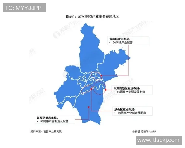 武汉排球队的整体压制革新探索与发展之路全景分析