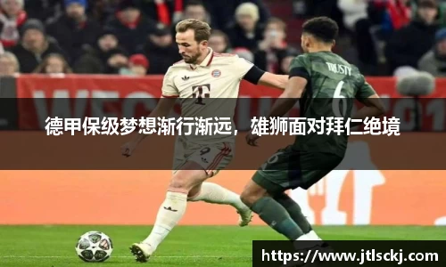 球信网