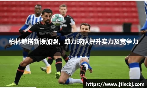 球信网