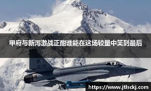 球信网