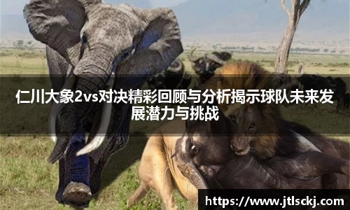 球信网网址