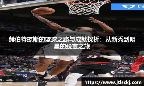 球信网网址