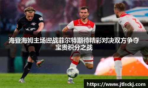 球信网