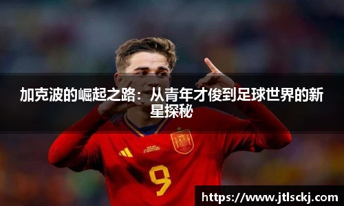球信网