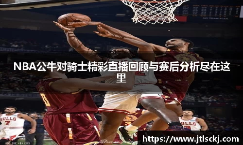 球信网