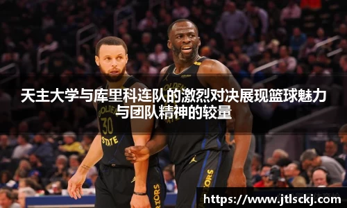 球信网平台