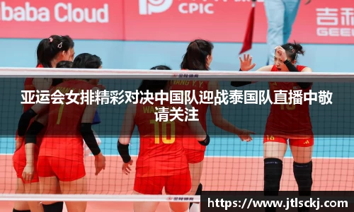 球信网