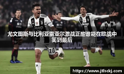 球信网平台
